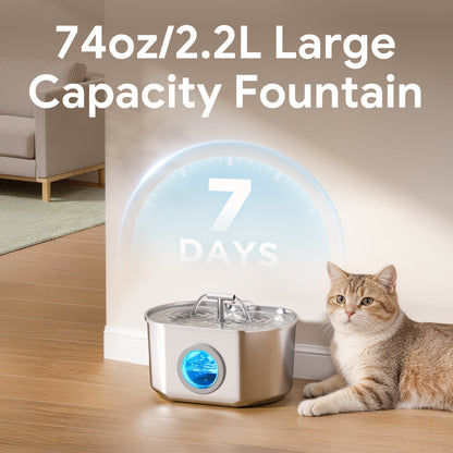 Oval Duo Cat Fountain + 4 Filters, 74oz