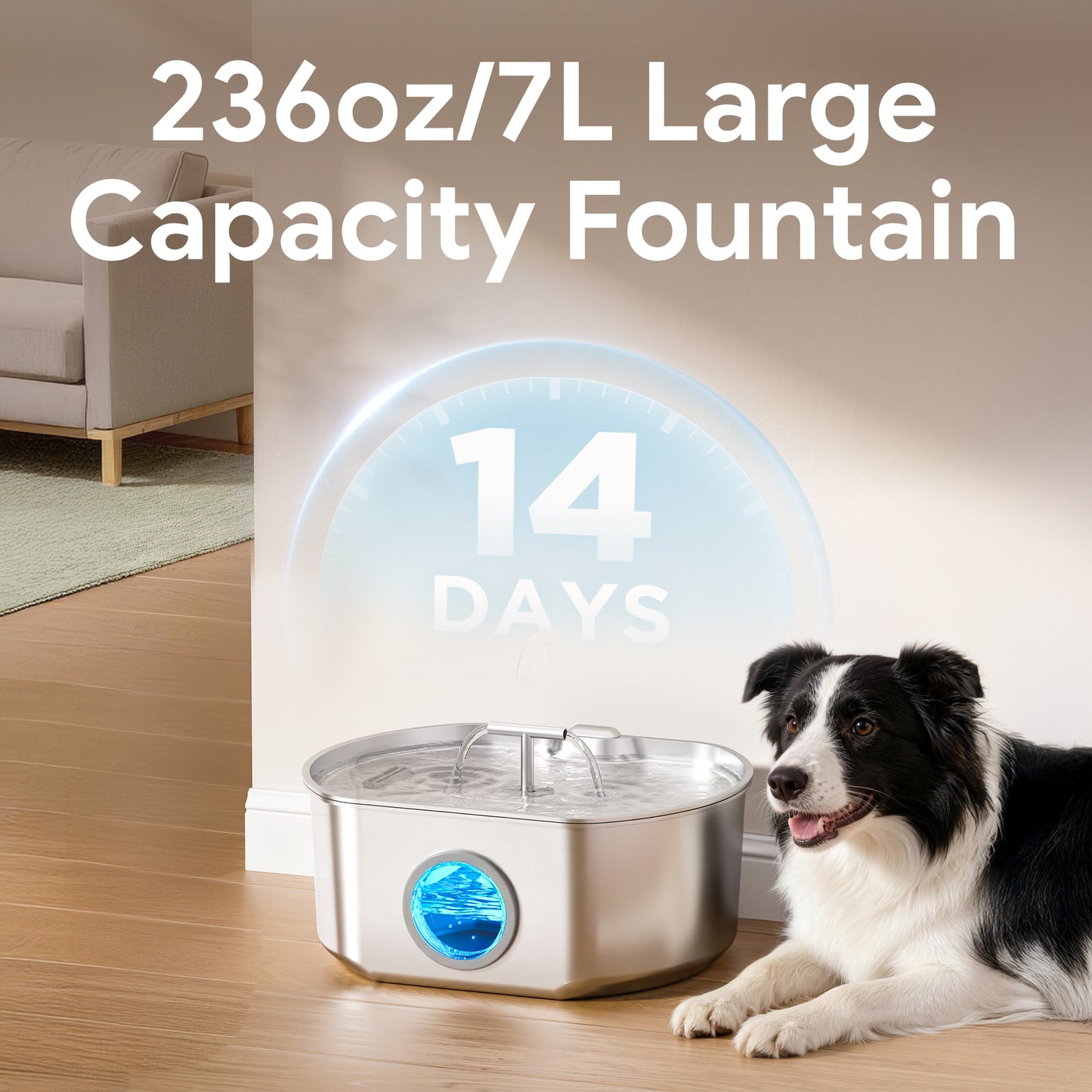 Oval Duo Cat Fountain + 10 Filters, 236oz
