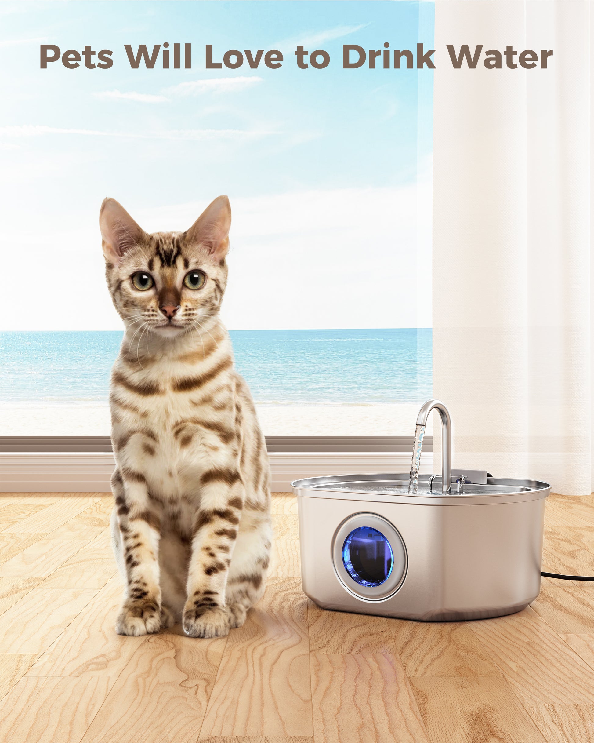 12+12 REPLACEMENT FILTER FOR CAT FOUNTAIN - Main Image